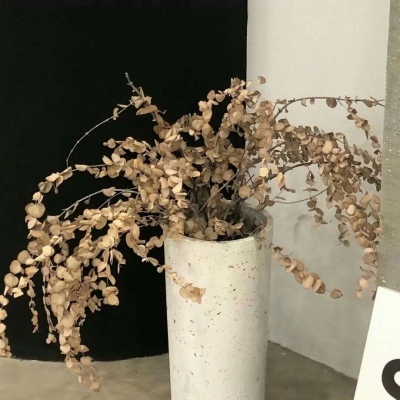 Furry圈经典作品赏析Furry群